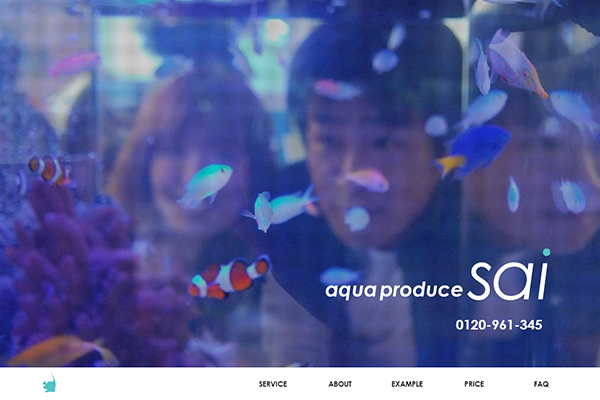 WebSite_02